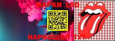 apvp Аша
