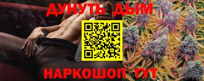 apvp Аша